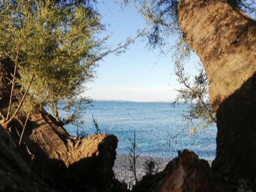 Apartament Paulina Split Zewnętrze zdjęcie